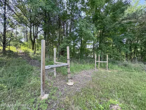 2169 Slocum Rd, Hernando, MS 38632 photo 62