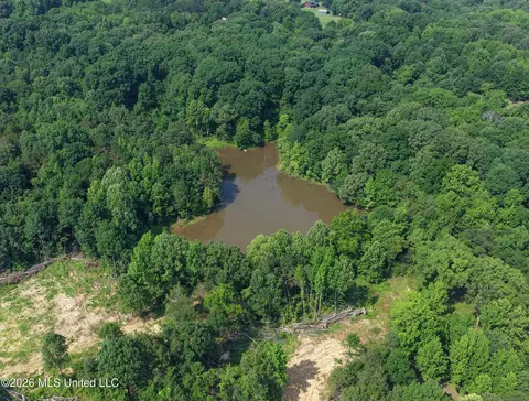 2169 Slocum Rd, Hernando, MS 38632 photo 18