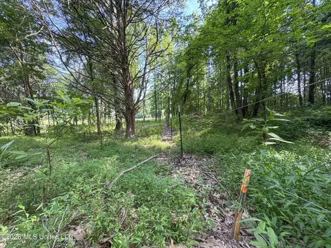 2169 Slocum Rd, Hernando, MS 38632 photo 73