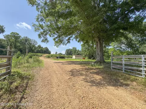 2169 Slocum Rd, Hernando, MS 38632 photo 48