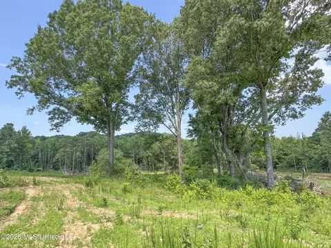 2169 Slocum Rd, Hernando, MS 38632 photo 92
