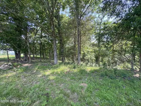 2169 Slocum Rd, Hernando, MS 38632 photo 82