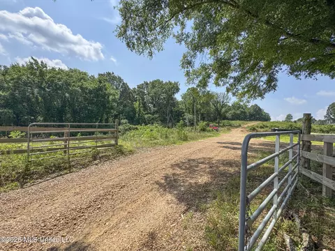2169 Slocum Rd, Hernando, MS 38632 photo 47