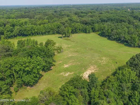 2169 Slocum Rd, Hernando, MS 38632 photo 28