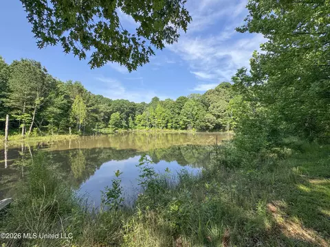 2169 Slocum Rd, Hernando, MS 38632 photo 52