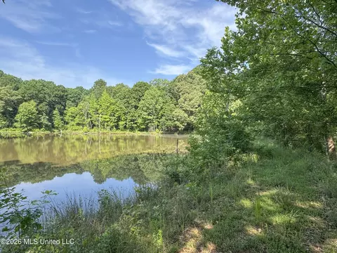 2169 Slocum Rd, Hernando, MS 38632 photo 54