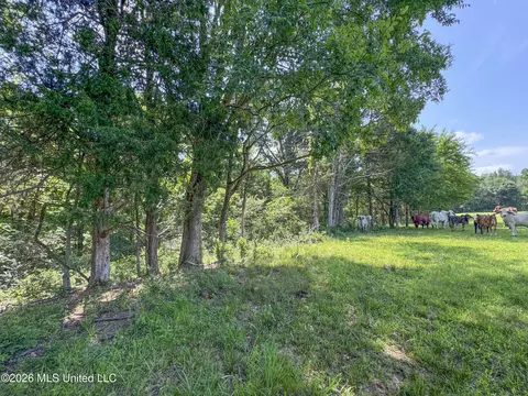 2169 Slocum Rd, Hernando, MS 38632 photo 83