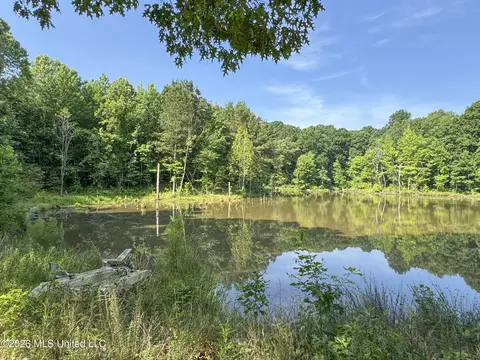 2169 Slocum Rd, Hernando, MS 38632 photo 55