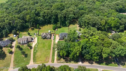 View/Area - 6191 Spring Xing, Olive Branch, MS 38654 photo 4 of 5