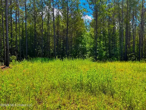 Arthur Drive, Brookhaven, MS 39601 photo 8