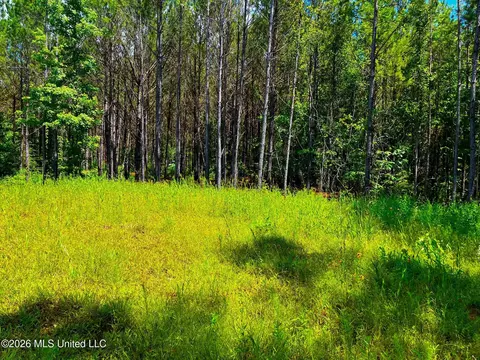 Arthur Drive, Brookhaven, MS 39601 photo 9