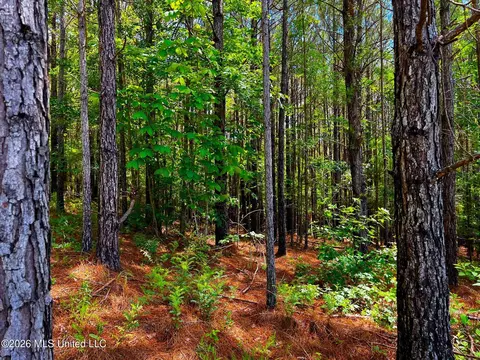 Arthur Drive, Brookhaven, MS 39601 photo 19