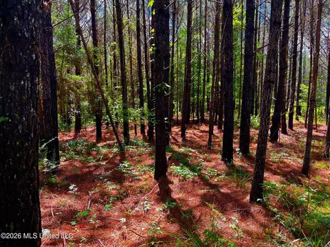Arthur Drive, Brookhaven, MS 39601 photo 5