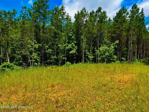 Arthur Drive, Brookhaven, MS 39601 photo 11