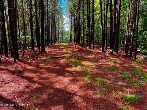 Arthur Drive, Brookhaven, MS 39601 photo 13