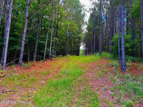 Arthur Drive, Brookhaven, MS 39601 photo 15