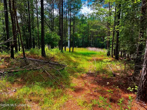 Arthur Drive, Brookhaven, MS 39601 photo 16
