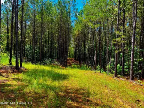 Arthur Drive, Brookhaven, MS 39601 photo 12