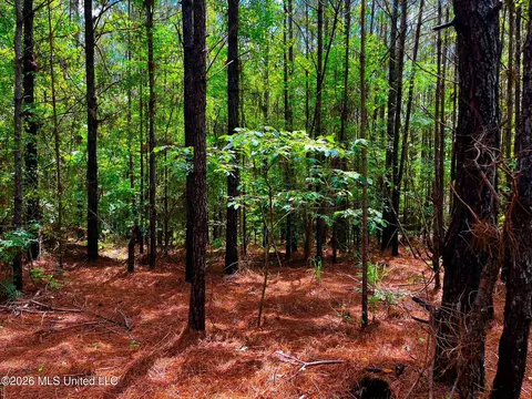 Arthur Drive, Brookhaven, MS 39601 photo 14