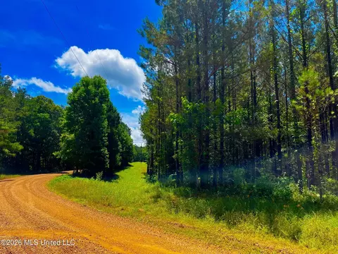 Arthur Drive, Brookhaven, MS 39601 photo 2