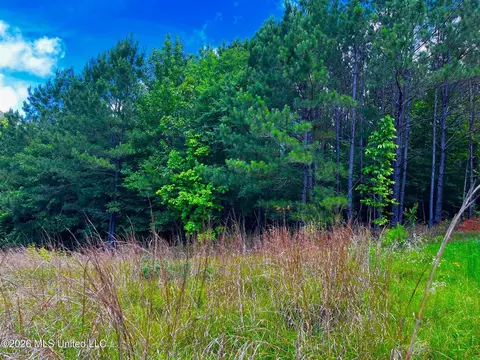 Arthur Drive, Brookhaven, MS 39601 photo 17