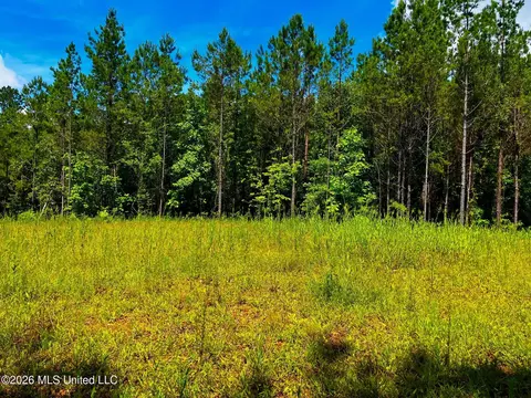Arthur Drive, Brookhaven, MS 39601 photo 10