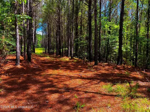 Arthur Drive, Brookhaven, MS 39601 photo 20