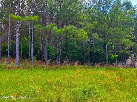 Arthur Drive, Brookhaven, MS 39601 photo 18