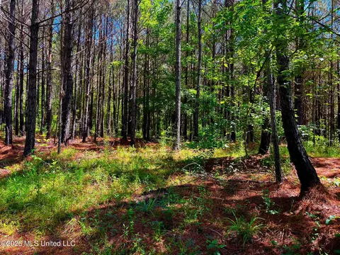 Arthur Drive, Brookhaven, MS 39601 photo 6