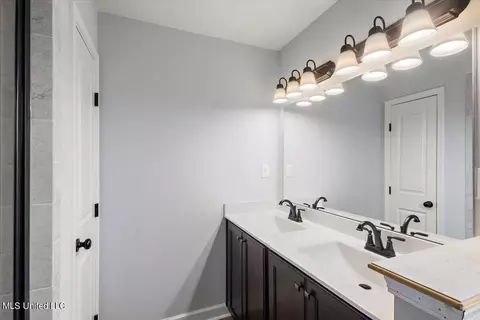 Bath - 6344 River Ln, Walls, MS 38680 photo 2 of 5