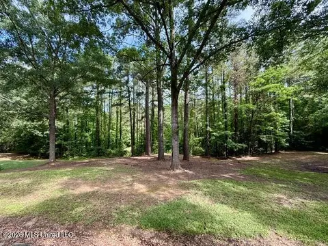 Other - 55 Scheffel Rd, Natchez, MS 39120 photo 4 of 11
