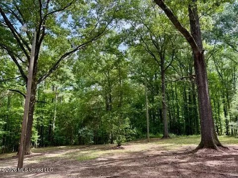 Exterior - 55 Scheffel Rd, Natchez, MS 39120 photo 3 of 11