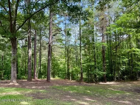Exterior - 55 Scheffel Rd, Natchez, MS 39120 photo 4 of 11