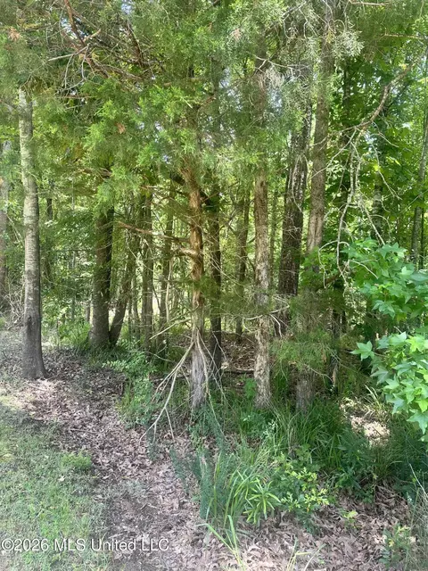Lakeridge Road, Grenada, MS 38901 photo 2
