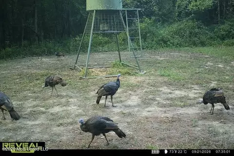 1359 Loring Road Exd, Pickens, MS 39146 photo 74