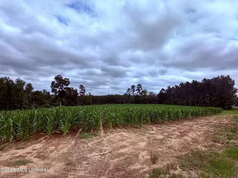 1882 Mcinnis Vernal Rd, Lucedale, MS 39452 photo 3