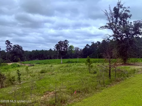 1882 Mcinnis Vernal Rd, Lucedale, MS 39452 photo 14