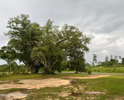 1882 Mcinnis Vernal Rd, Lucedale, MS 39452 photo 5