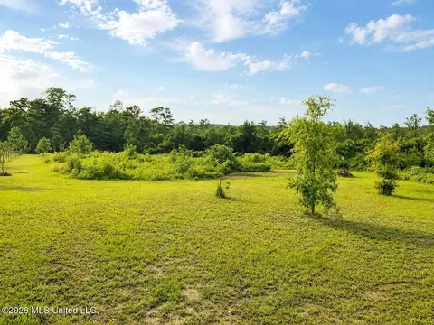 1882 Mcinnis Vernal Rd, Lucedale, MS 39452 photo 2