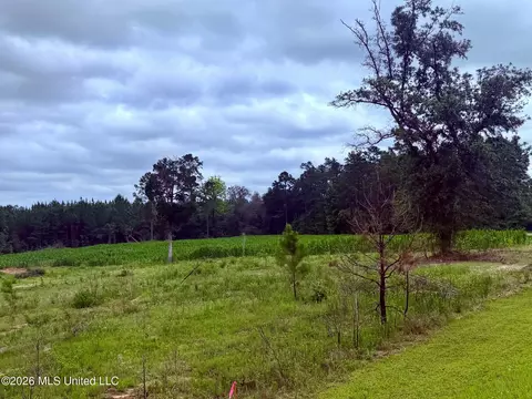 1882 Mcinnis Vernal Rd, Lucedale, MS 39452 photo 15