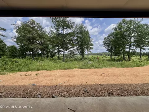 Other - 169 Holmesville Rd, Jayess, MS 39641 photo 6 of 9