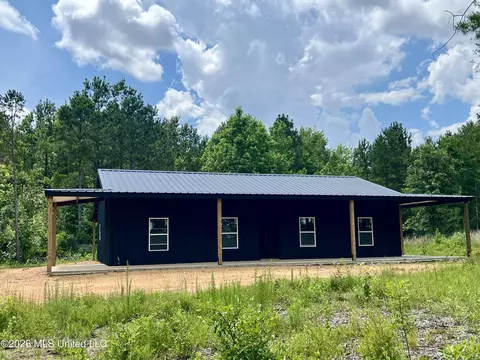 Other - 169 Holmesville Rd, Jayess, MS 39641 photo 7 of 9