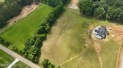 Stout Road, Madison, MS 39110 photo 9