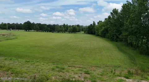 Stout Road, Madison, MS 39110 photo 6