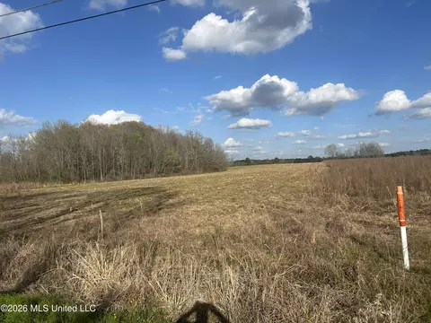 Old Hillsboro Road, Forest, MS 39074