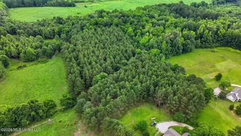 Other - 873 Bryan Rd, Walnut Grove, MS 39189 photo 33 of 49