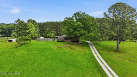 Other - 873 Bryan Rd, Walnut Grove, MS 39189 photo 17 of 49