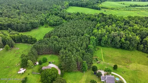View/Area - 873 Bryan Rd, Walnut Grove, MS 39189 photo 2 of 2