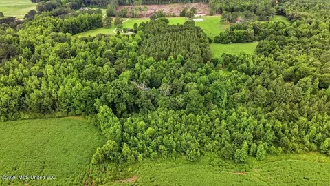 Other - 873 Bryan Rd, Walnut Grove, MS 39189 photo 41 of 49