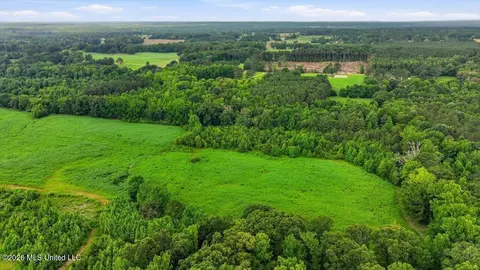 Other - 873 Bryan Rd, Walnut Grove, MS 39189 photo 39 of 49